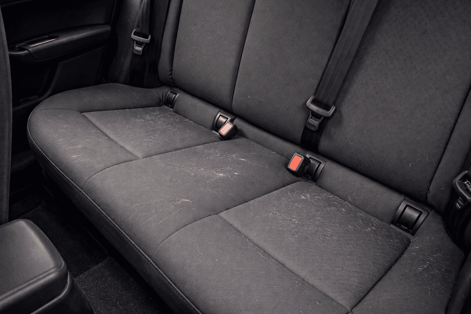 Bagsæde med hundehår og slid