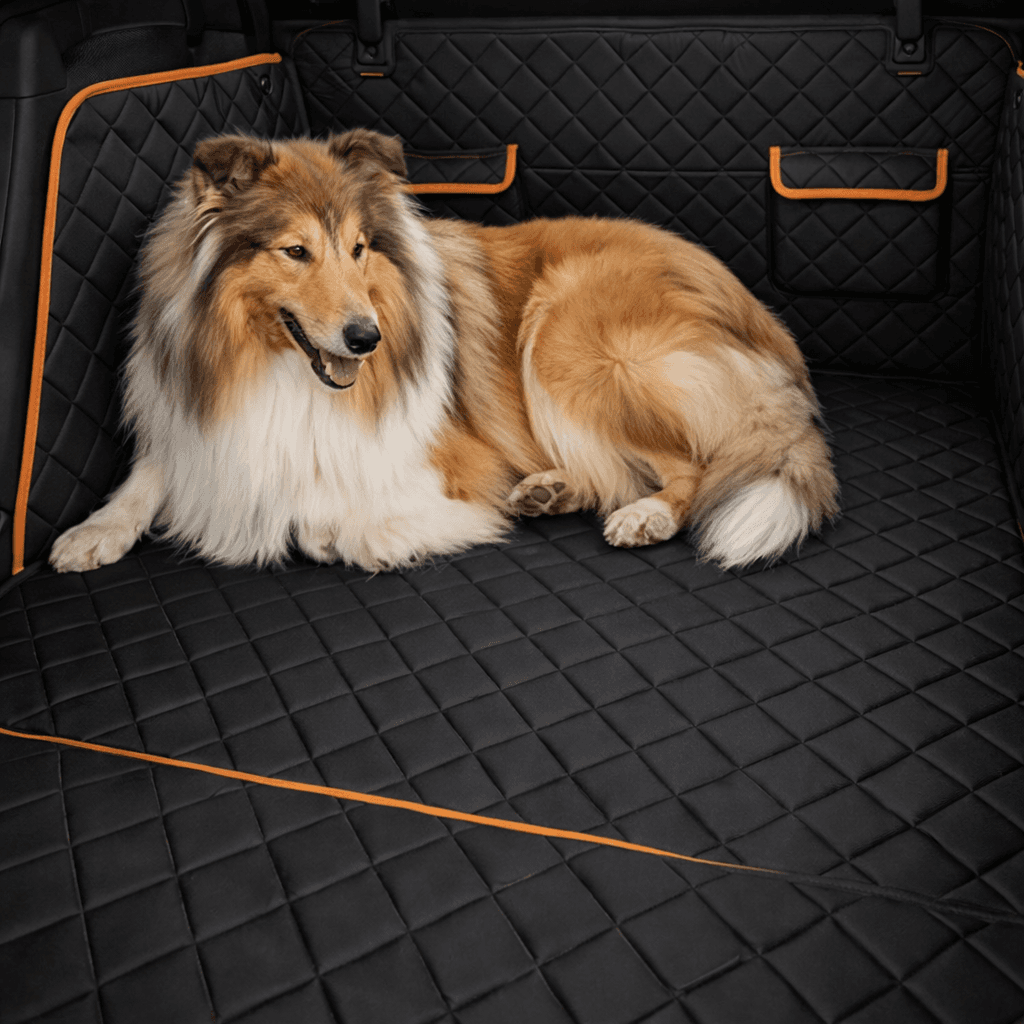 Bagagerumsbeskytter til hund i bil - billede 6