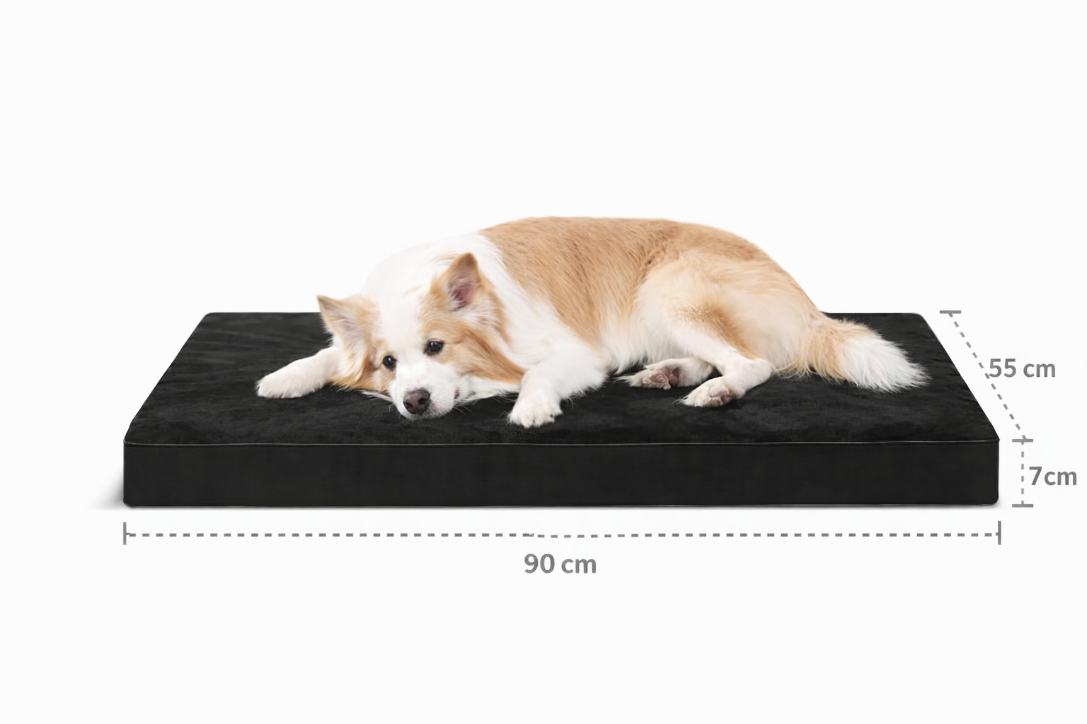 Fokus på komfortmadrassen