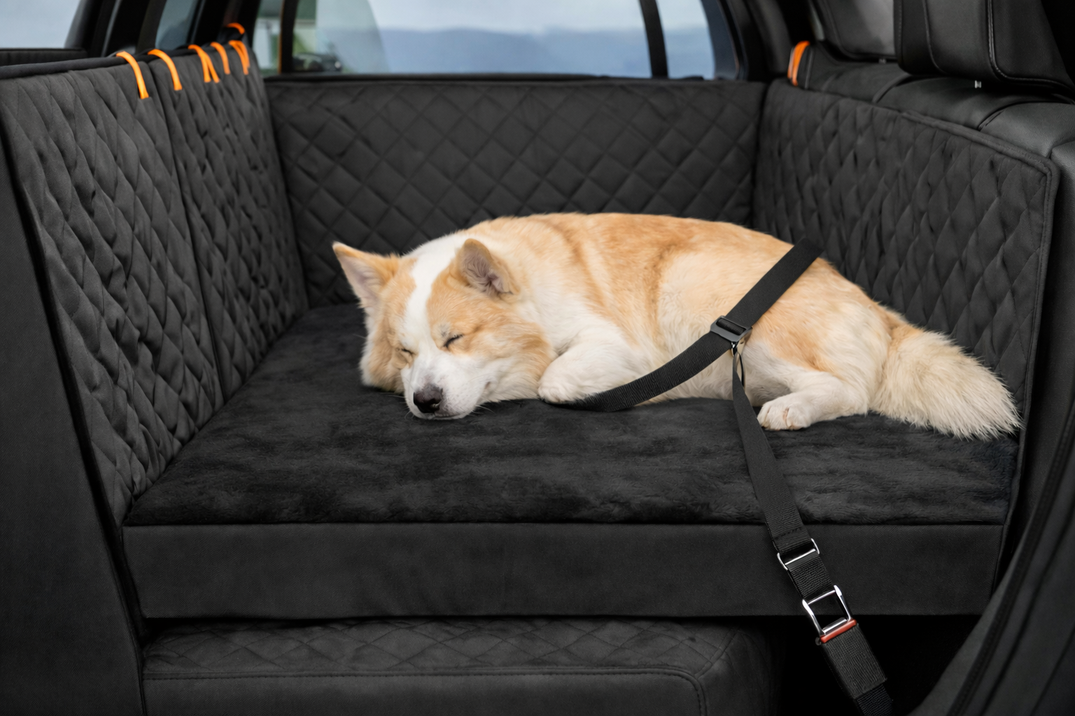 Komplet Bilpakke til Hund - Beskyttende setup